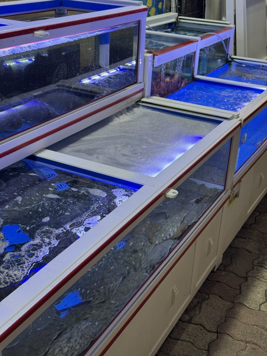 만고강산 사진 3
