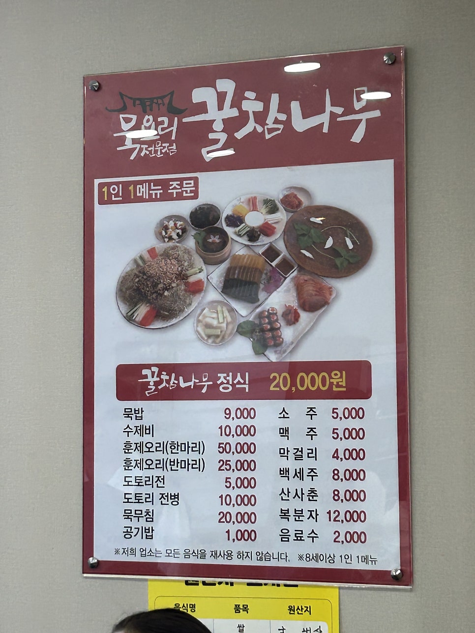 꿀참나무 사진 6