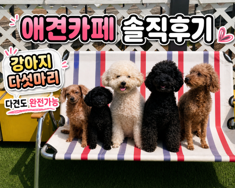 사진 6