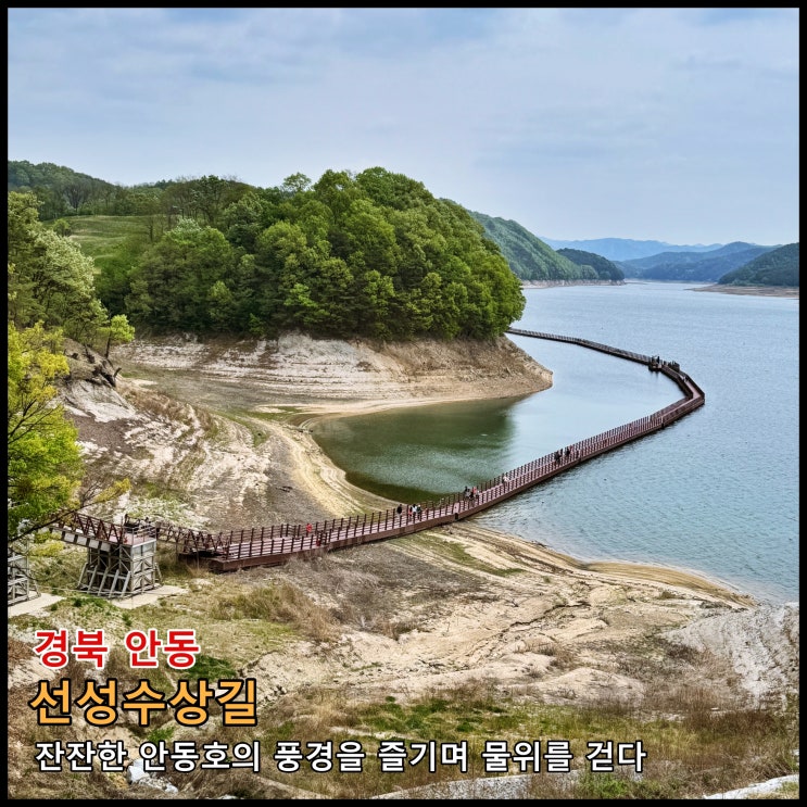  [안동] ️ 잔잔한 안동호의 풍경을 즐기며 물위를 걷다. 안동의 새로운 명소 '선성수상길'