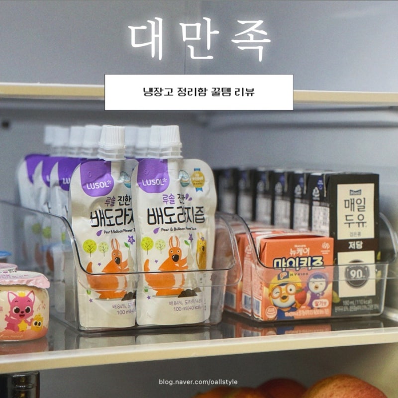 냉장고 정리 꿀팁 | 다이소 꿀템 투명 정리함 수납 트레이 후기
