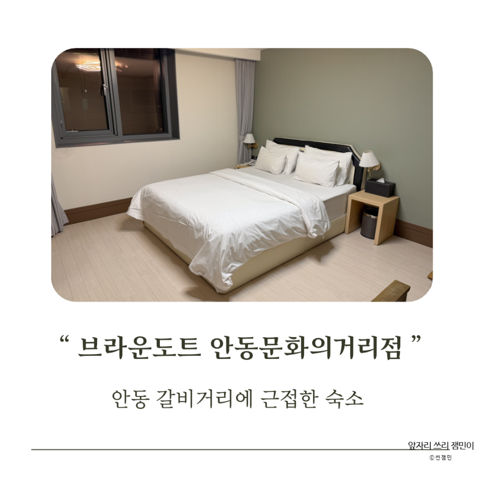 브라운도트 안동문화의거리점 사진 1