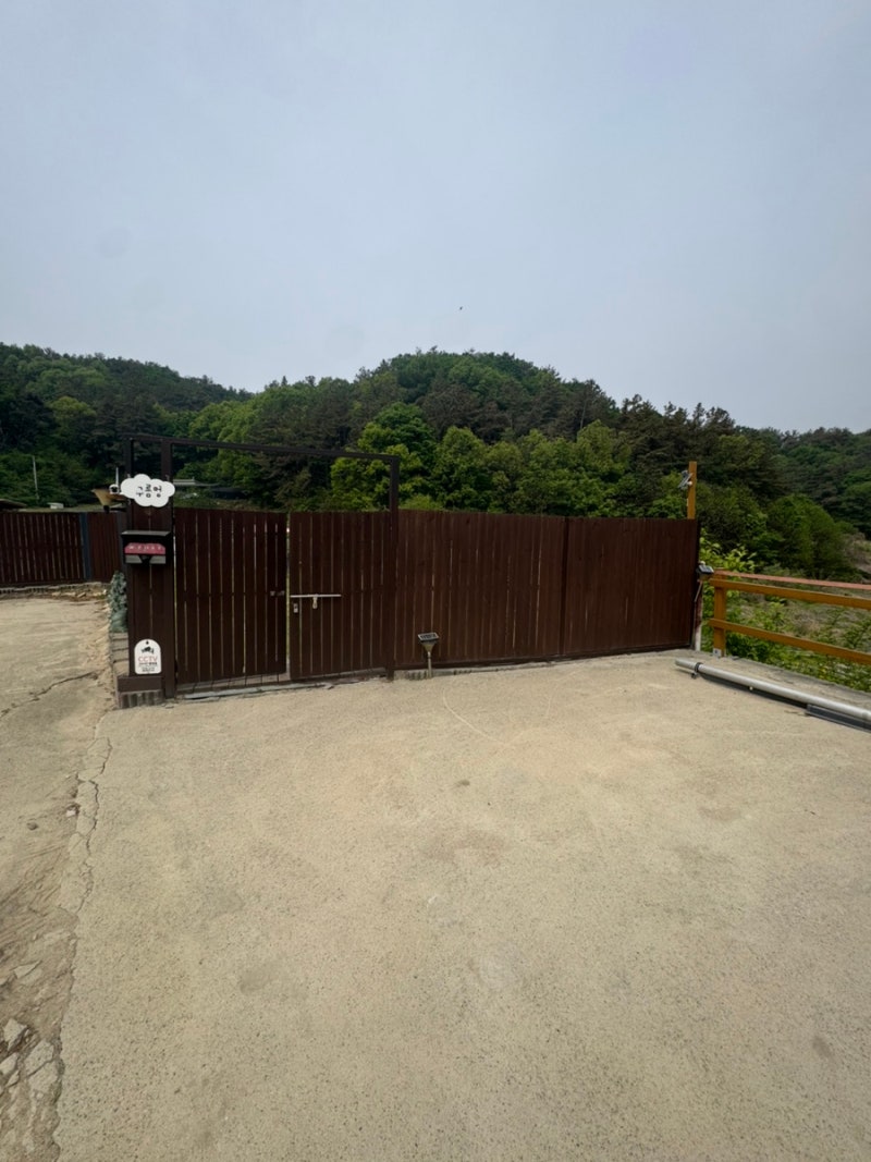 사진 11