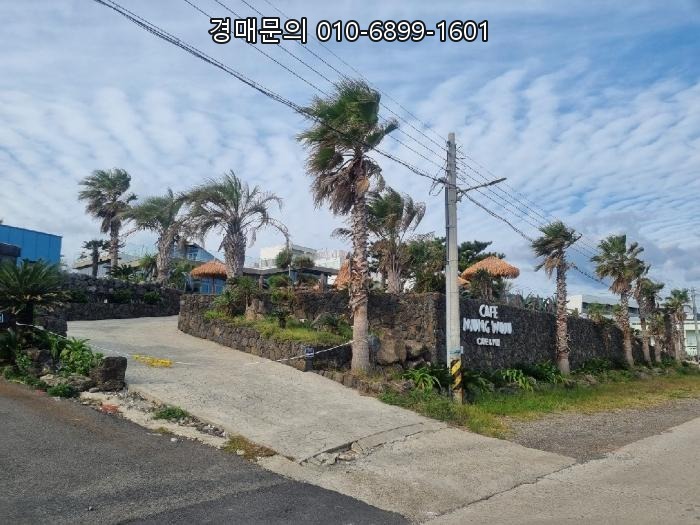  제주 대평포구 오션뷰 초대형 부지 근린시설 경매, 감정가 반값으로 꿈의 카페 사장님 될 특별한 기회 2024-34738