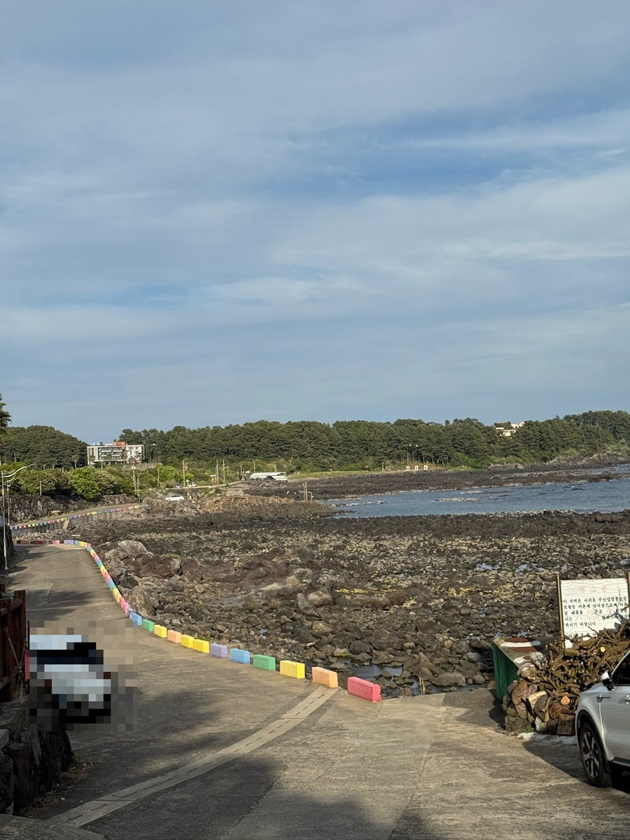 검은여닭도가니 사진 4