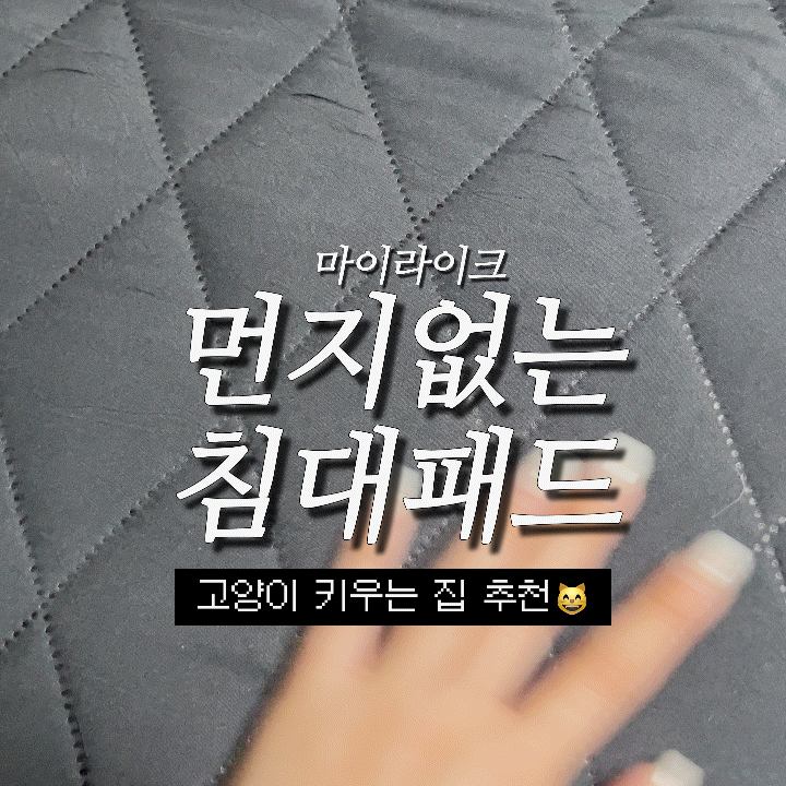 마이라이크 알러지케어 먼지없는침대패드 고정밴드 슈퍼싱글 침대패드 사계절침대패드 매....