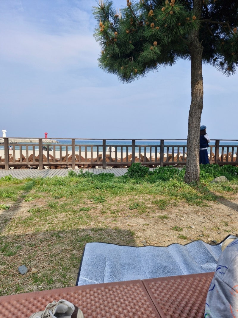 강원도 물치해변 힐링