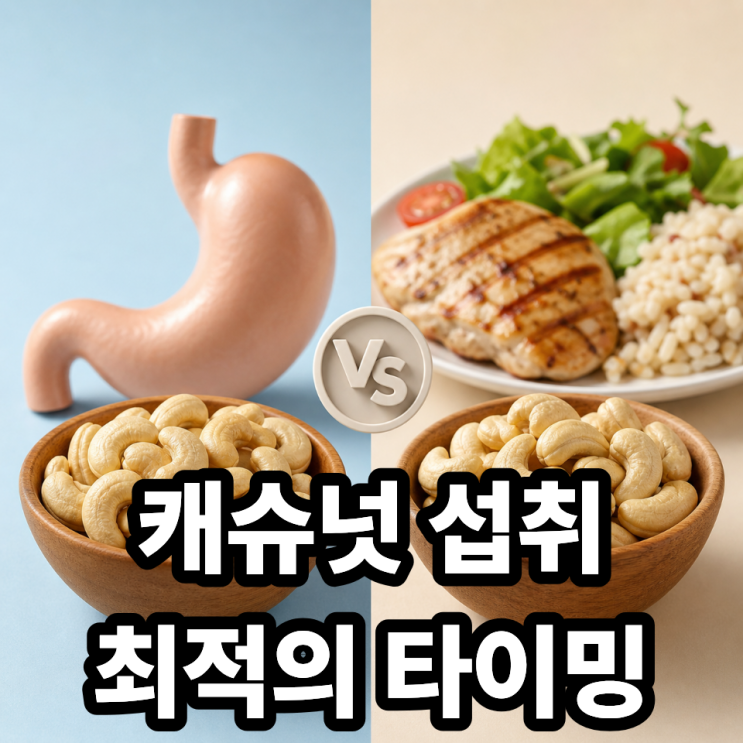  캐슈넛 공복 vs 식후 섭취 차이｜언제 먹어야 더 좋을까?