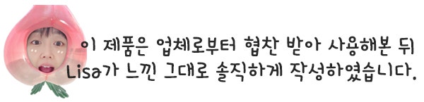 사진 6