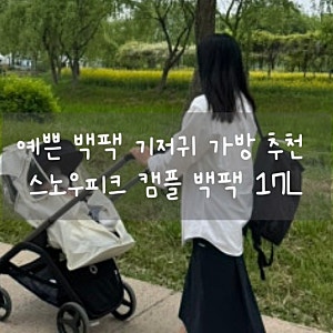 예쁜 백팩 기저귀 가방 추천 / 스노우피크 캠플 백팩 17L 가격