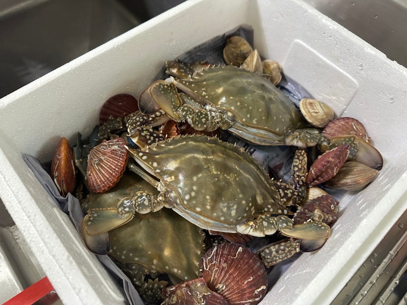 가락시장 영재수산 꽃게 퀵배송, 암꽃게 1kg 당일 퀵으로 배달 받은 후기
