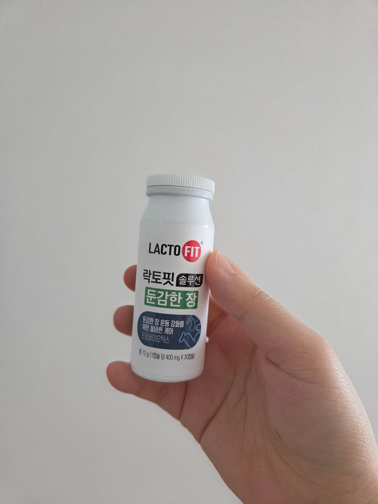  락토핏 예민한 장 vs 둔감한 장, 1도 기대 없던 남편과 내가 정착한 이유 3개월 복용 (프로바이오틱스 유산균 구매 팁 )
