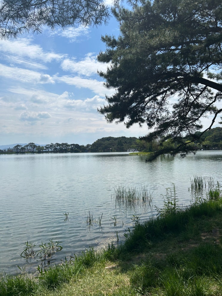  [충북 제천] 힐링하기 좋은 제천여행 볼거리, 용추폭포 유리전망대 <의림지>