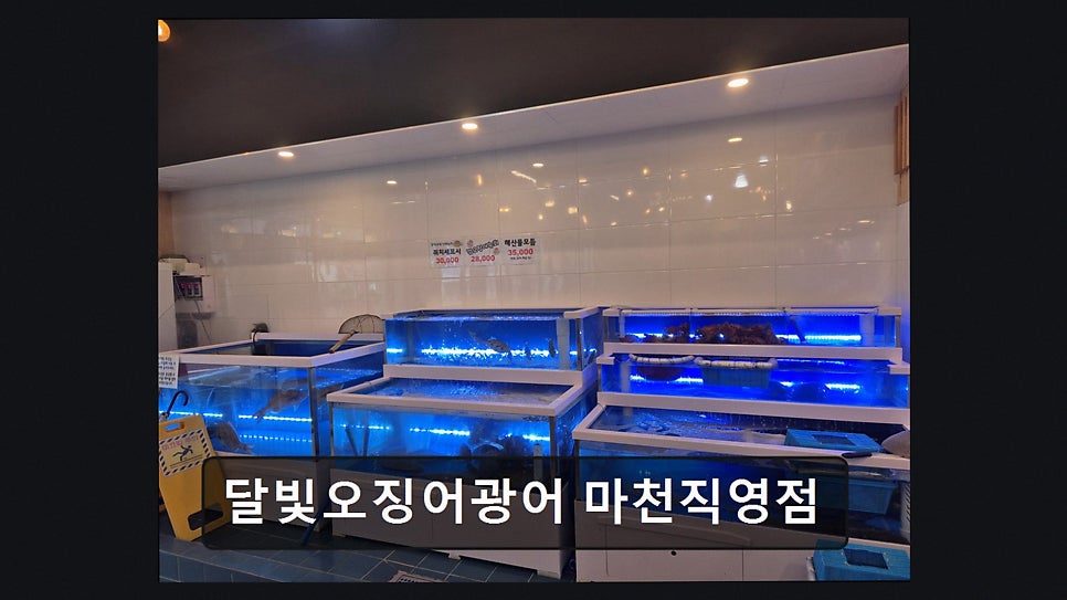 달빛오징어광어 사진 4