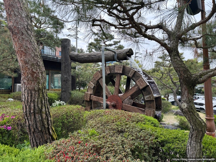 [용인 식당] '물레방아' 닭백숙 & 누룽지탕 식사 후기