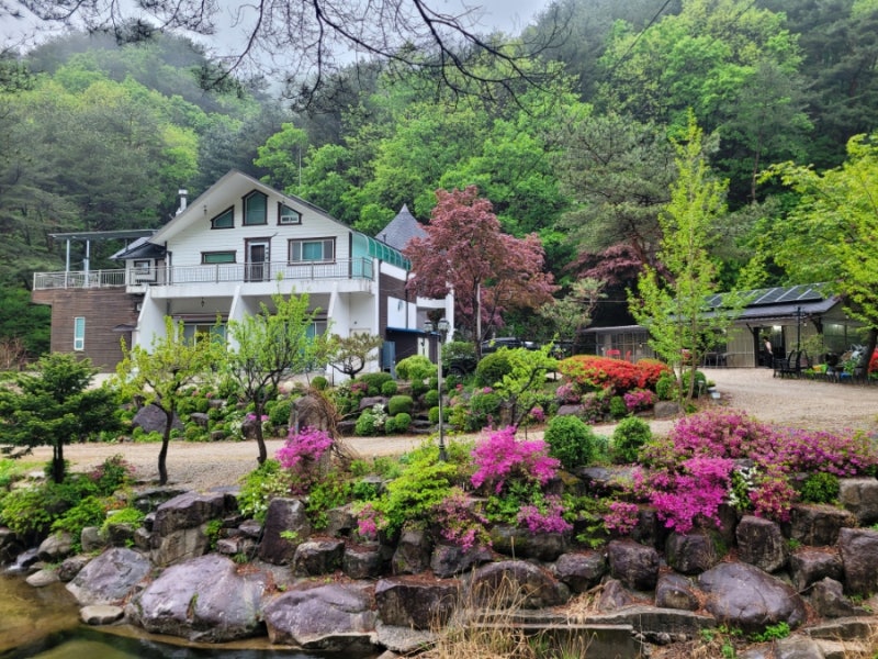 사진 6