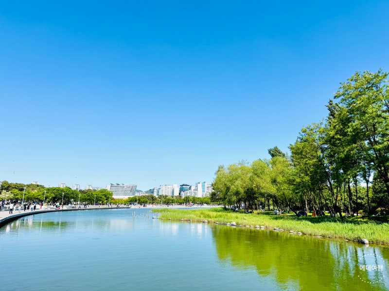 사진 6