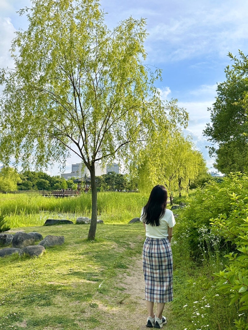 대전 데이트코스 한밭수목원 자전거 주차 피크닉 놀거리 관광