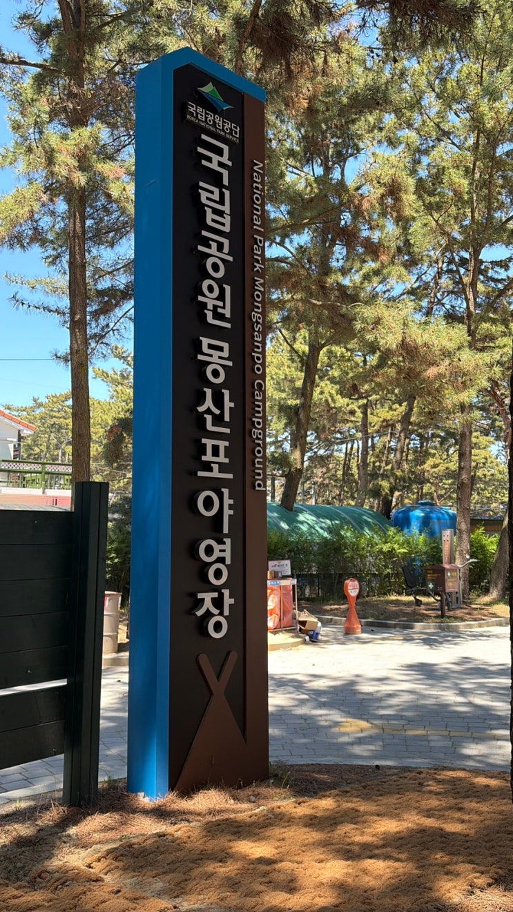  태안 몽산포야영장 후기ㅣ조개캐기 성지 가족캠핑 예약·요금·사이트 총정리