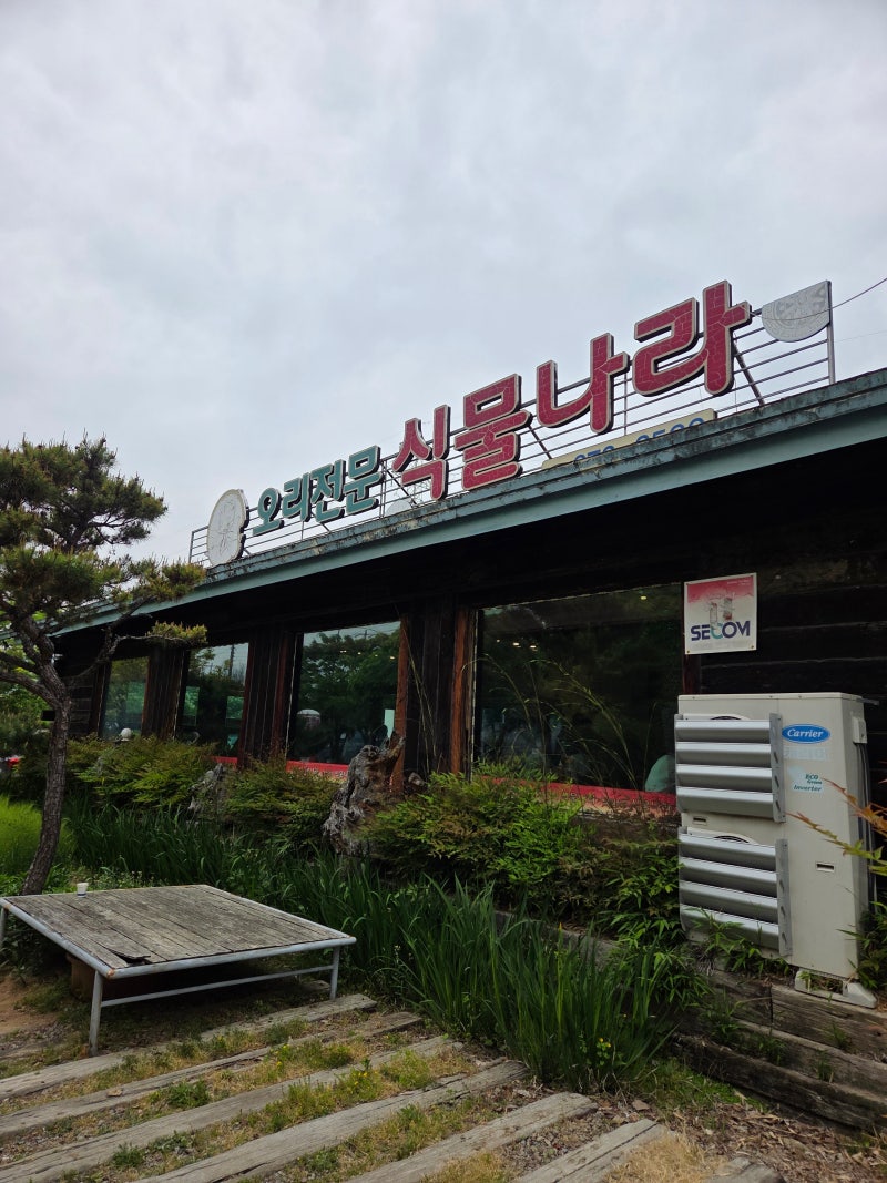 전남 화순읍 유천리 현지인 오리고기 맛집 식물나라
