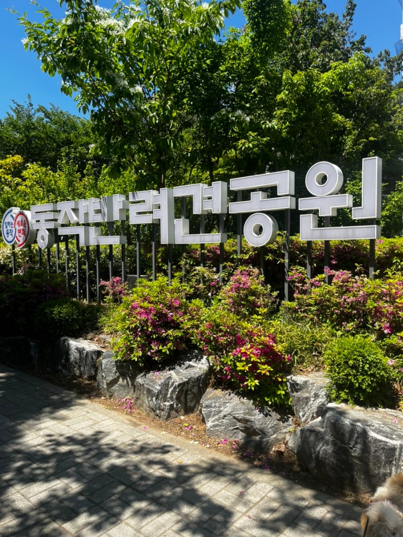 사진 5