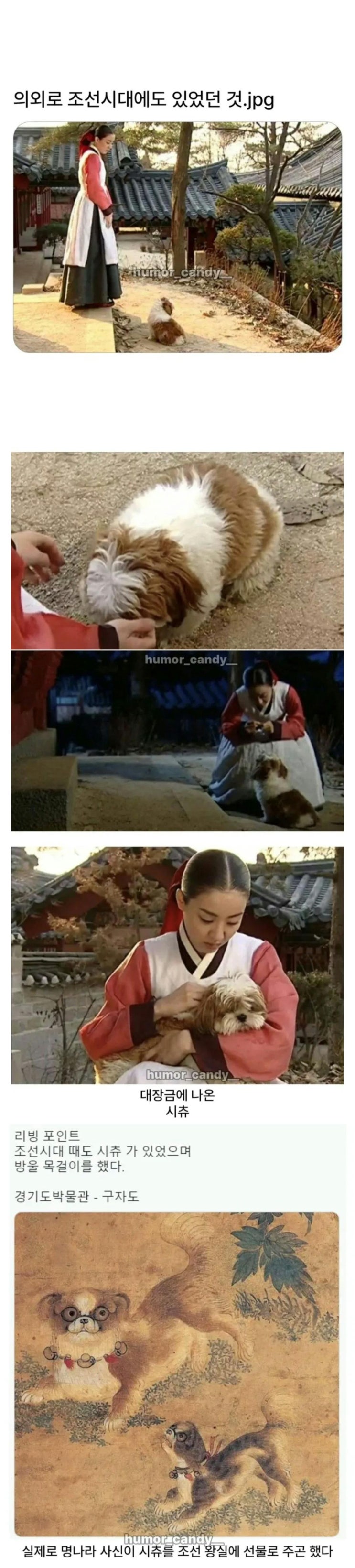  의외로 조선시대에 있었던 견종.jpg