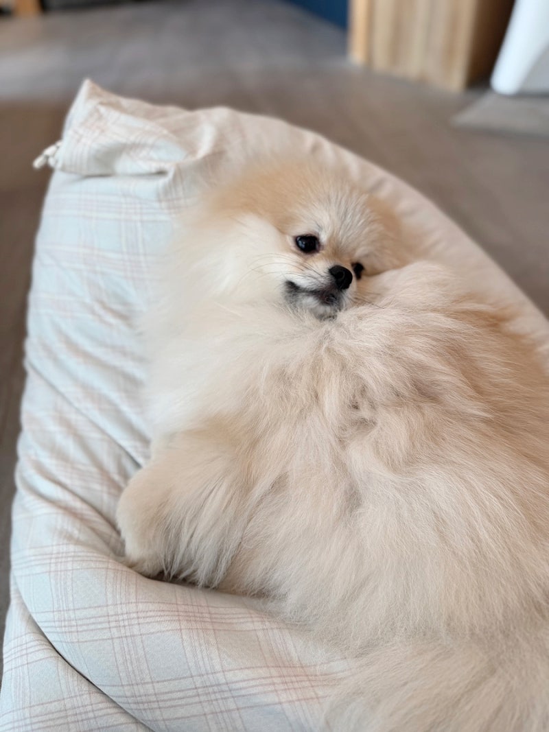 사진 6