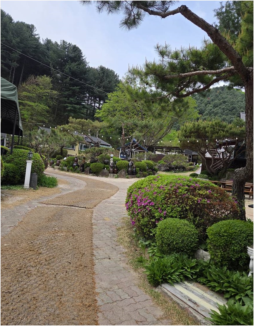 Pensyeonhai photo 3