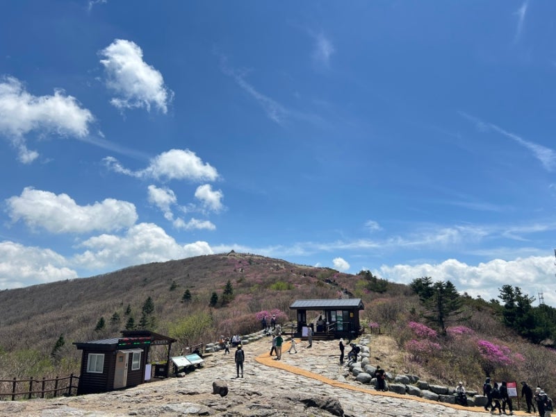 달궁1 야영장 캠핑하고 지리산 노고단 예약부터 주차장 정보 알고 가자