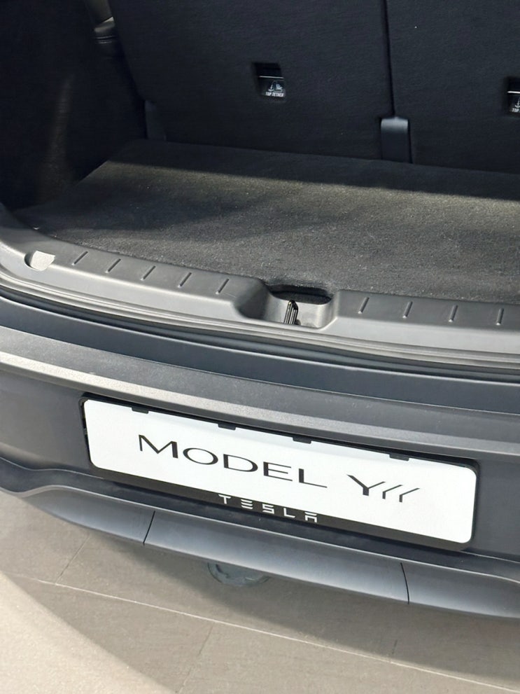  테슬라 Y 살까, YL 살까? Model YL AWD 직접 보고 비교해본 솔직 후기