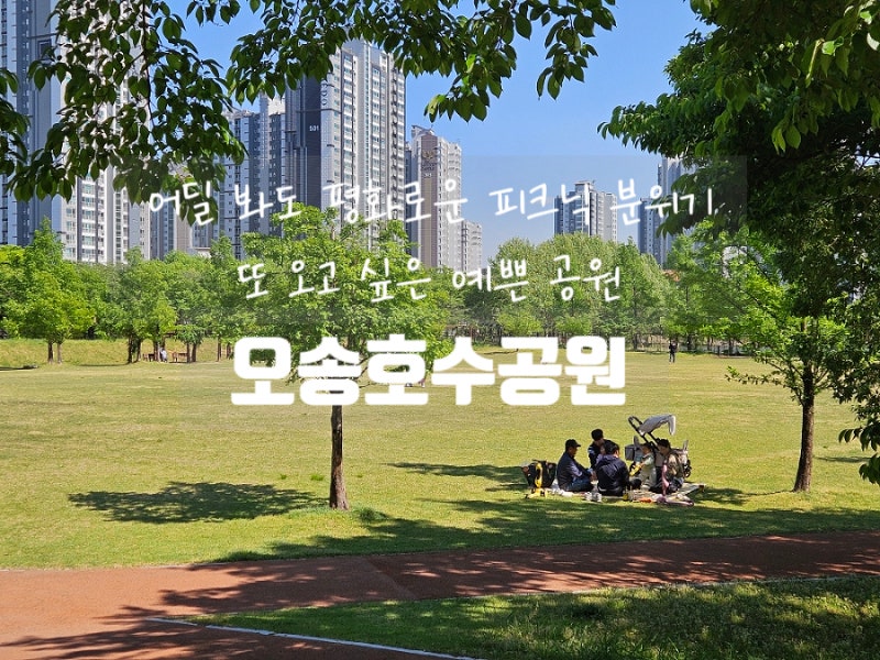 사진 8