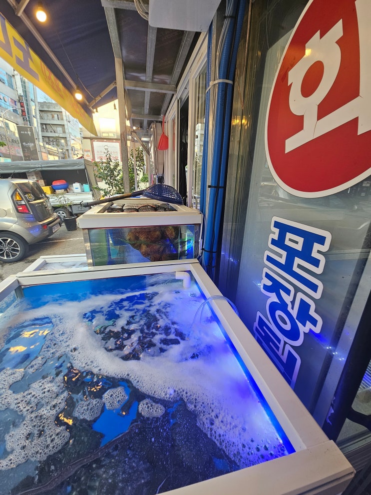  광주동천동맛집 황금회포차 싱싱한 활어회와 매운탕 후기