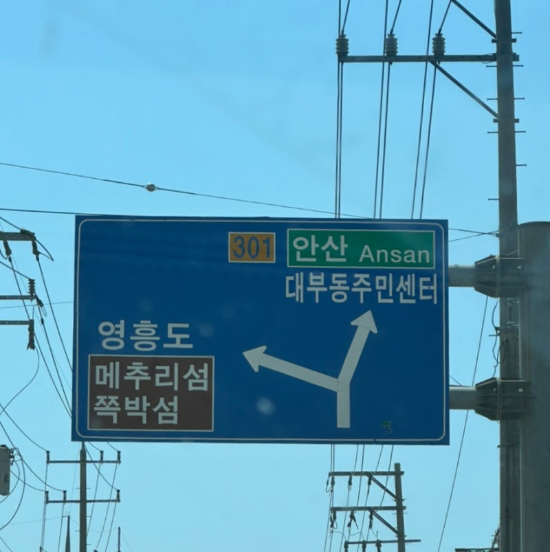 사진 6