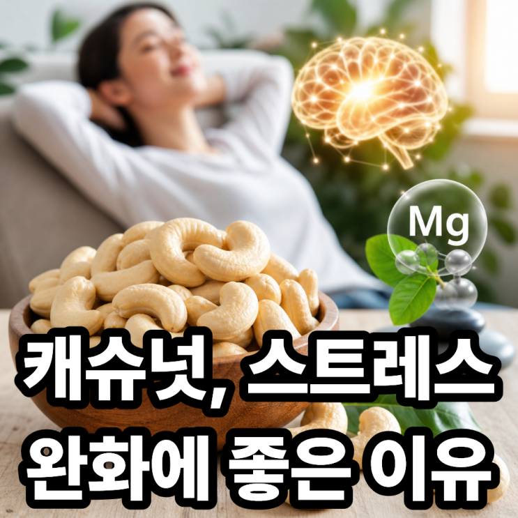  캐슈넛이 스트레스 완화에 좋은 이유｜마그네슘 효과로 마음까지 편안해지는 간식