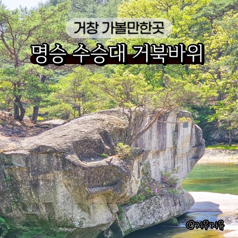 사진 4