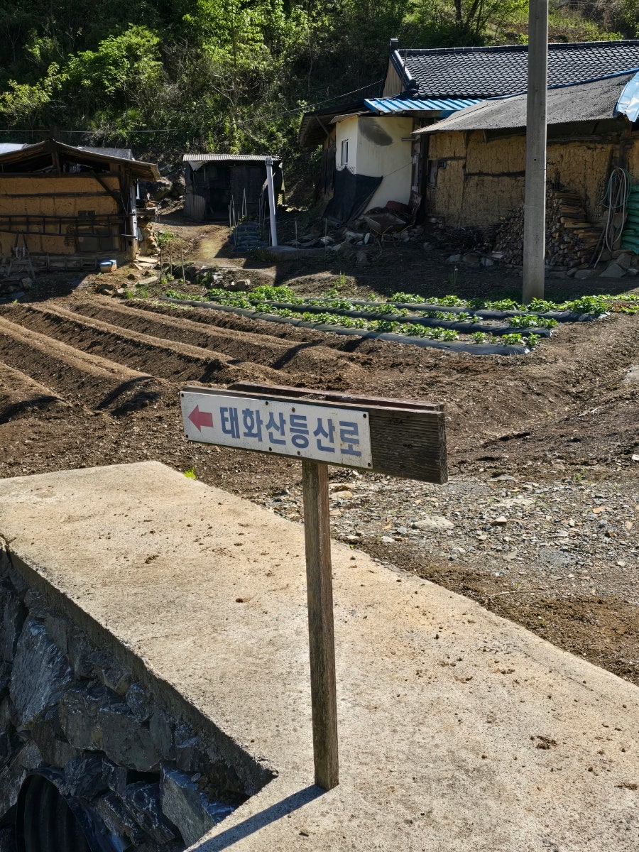 큰골 사진 4
