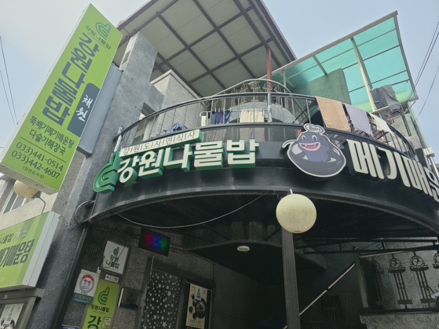 강원나물밥 채원 사진 2