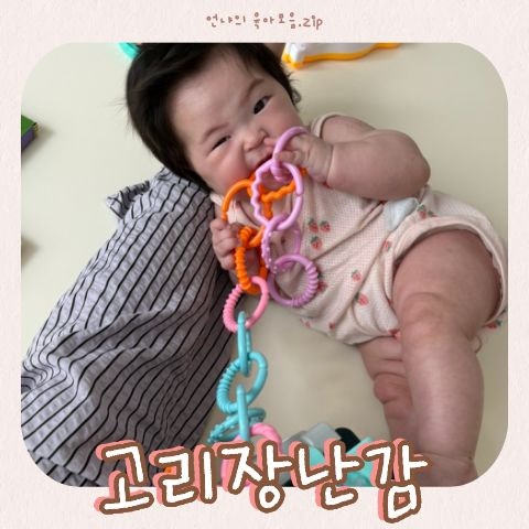 유모차 신생아 아기 고리장난감 친구들 열탕 당근 비교
