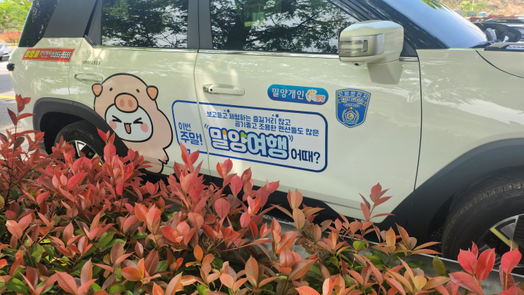  KBS 역사스페셜과 1박 2일동안 함께 사명대사의 발자취를 따라간 밀양진달래택시.74
