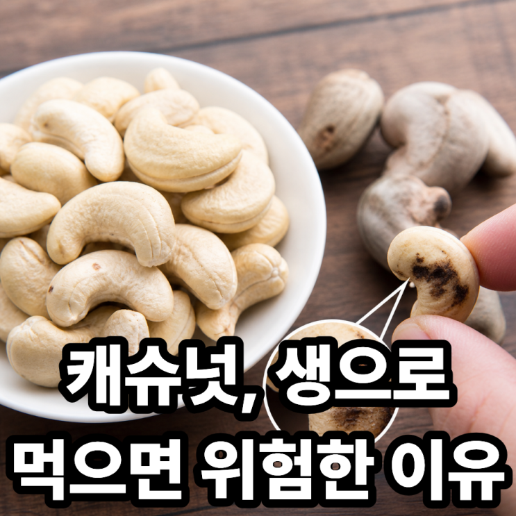  캐슈넛, 왜 생으로 먹으면 안 될까?  꼭 알아야 할 이유