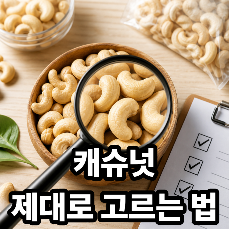  캐슈넛 추천 제품 고르는 기준  실패 없는 선택 방법