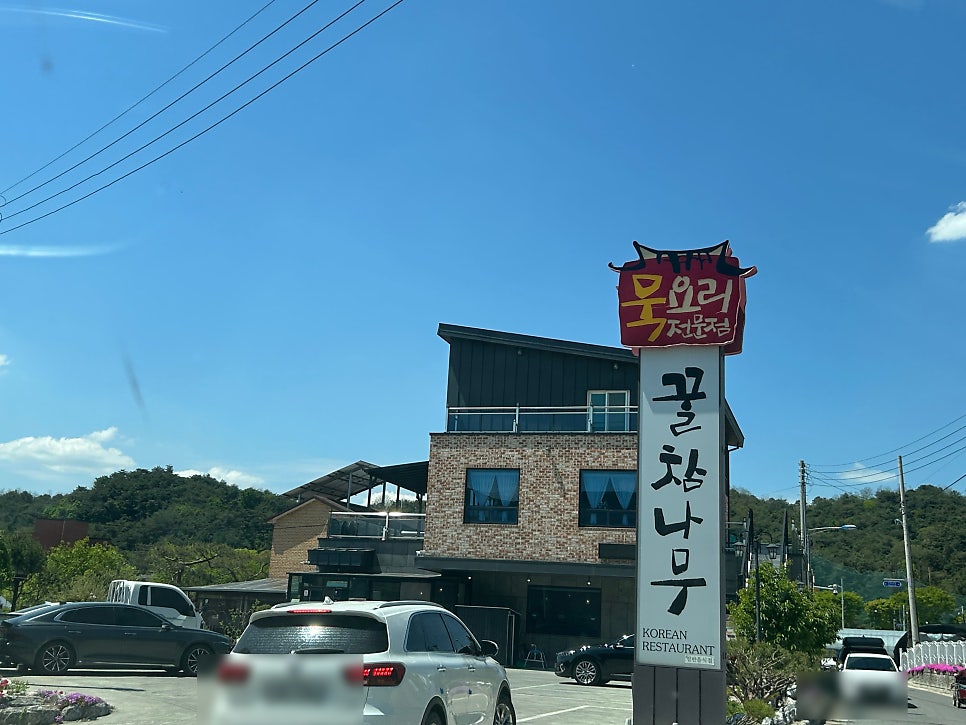 꿀참나무 사진 1