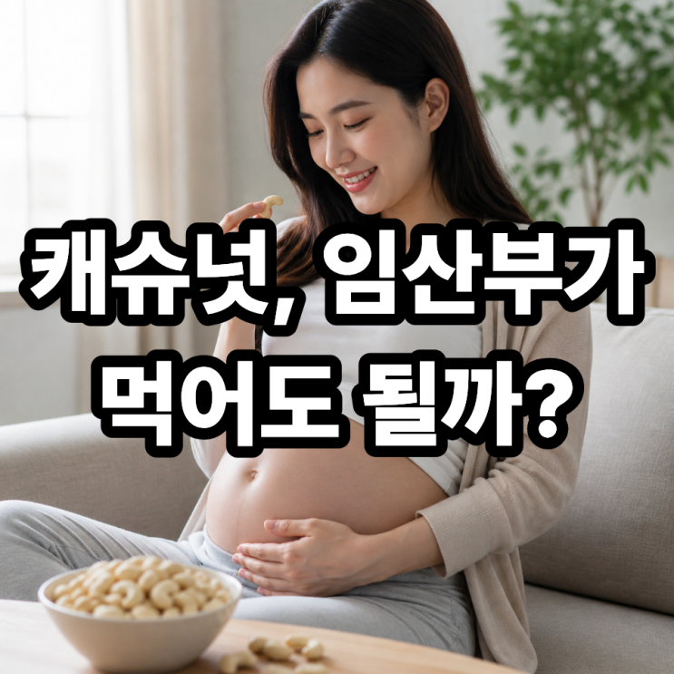 임산부 캐슈넛 섭취 괜찮을까  안전하게 먹는 방법