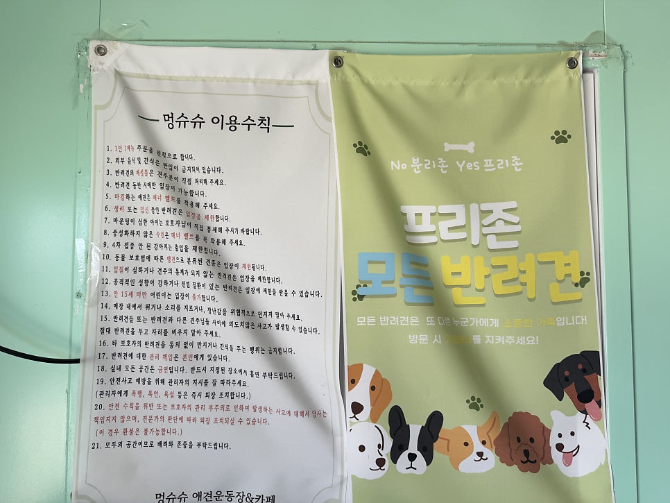 멍슈슈 사진 3