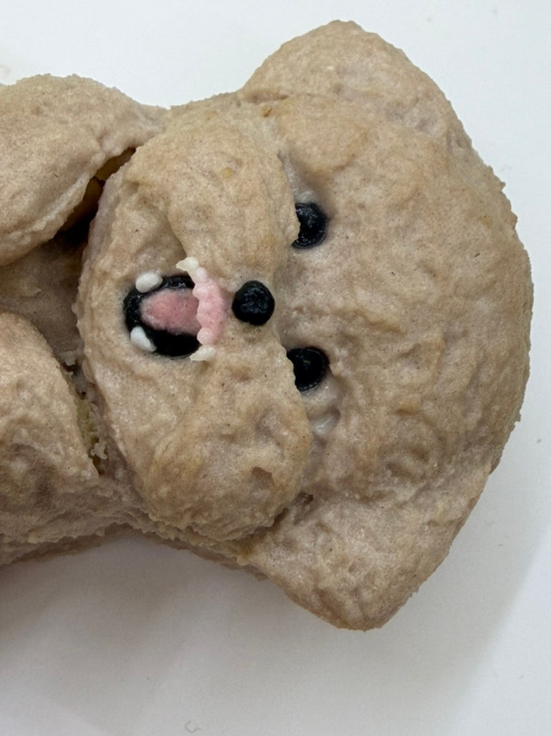 댕뽀까 경산중산점 애견미용 강아지수제간식 수제케이크