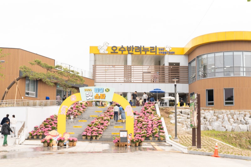 사진 6