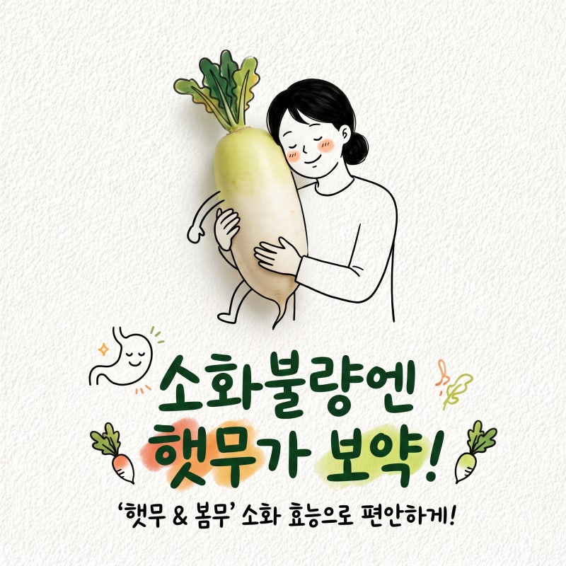 무 효능 부작용 알타리무 제철 칼로리 칼륨