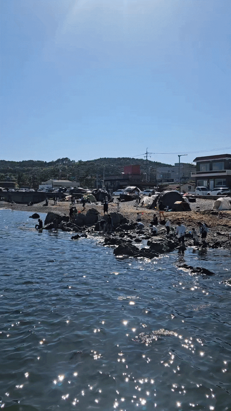 부산 기장 캠핑 해루질 낚시 포인트 추천, 아이들과 가기 좋은 동백 방파제