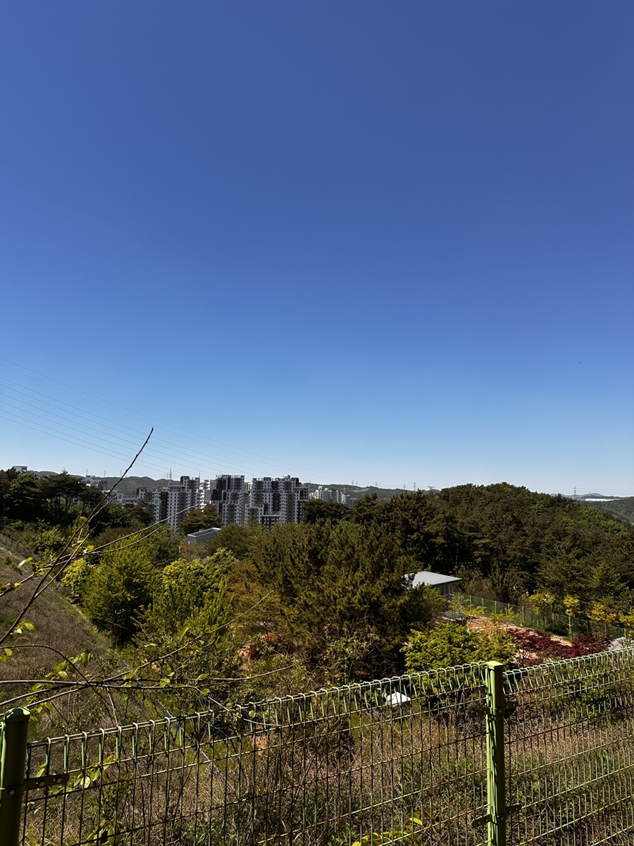 부엉산 사진 3