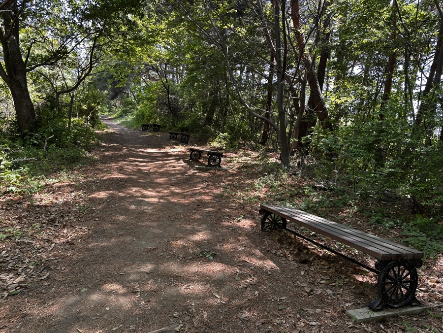 부엉산 사진 6